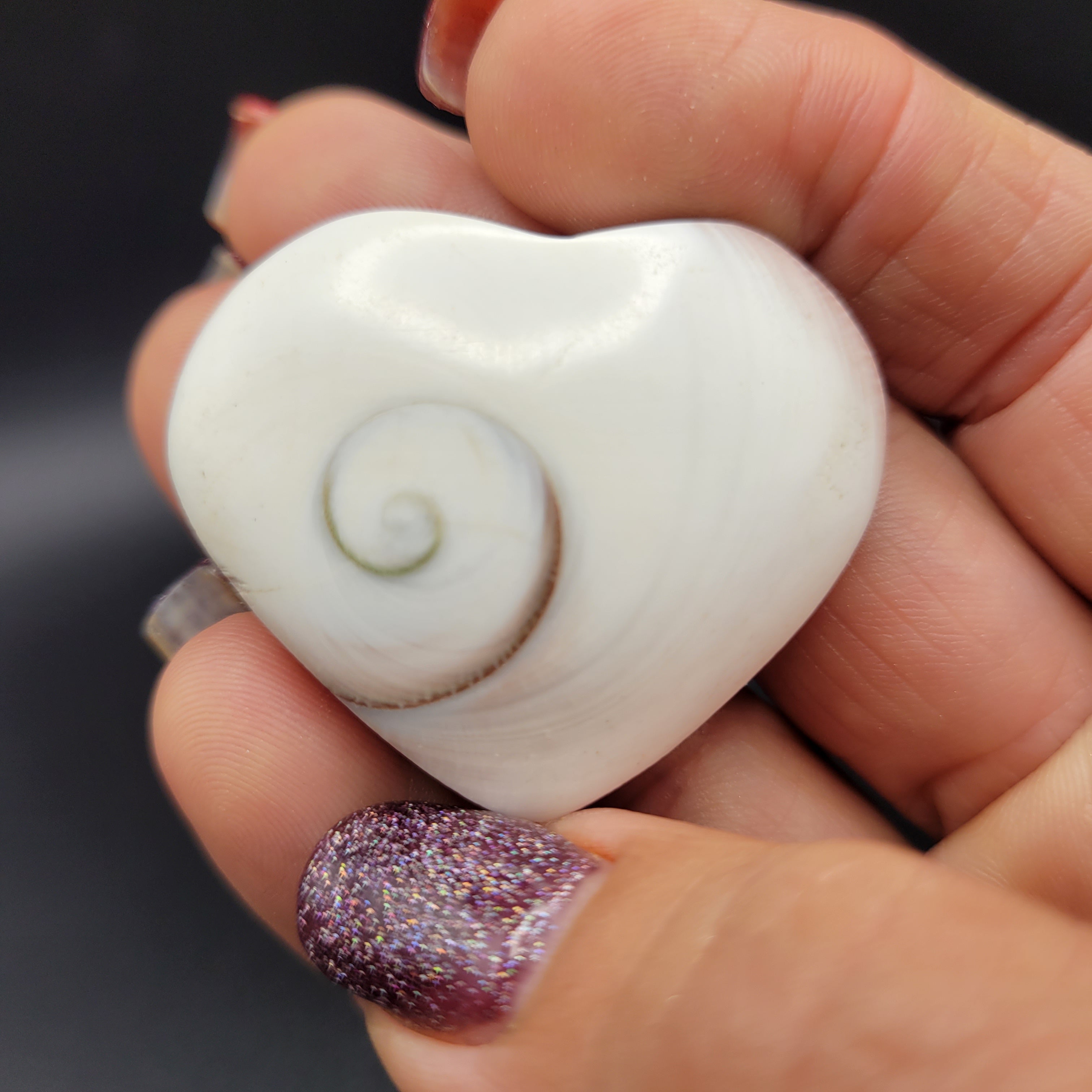 Heart Shiva Shell – Crystal to Crystal