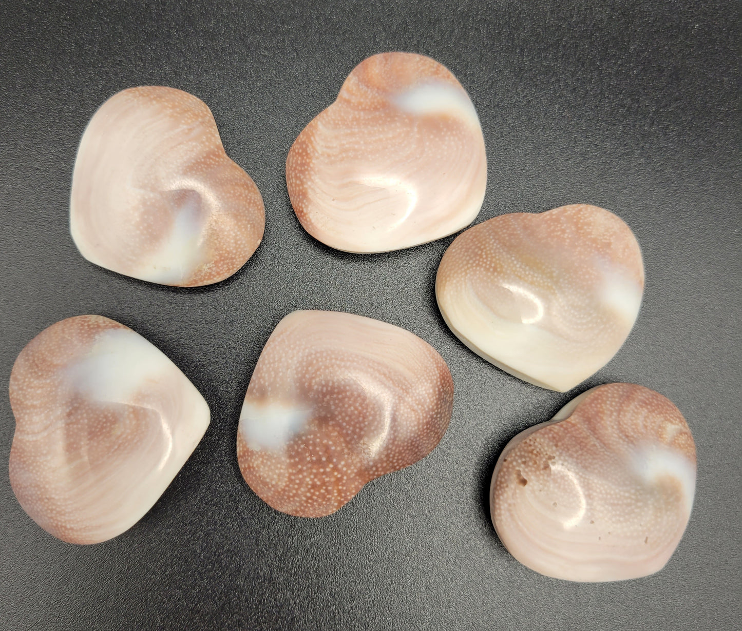 Heart Shiva Shell